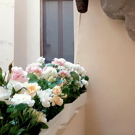 아파트 Velvet Loft - Santo Spirito *